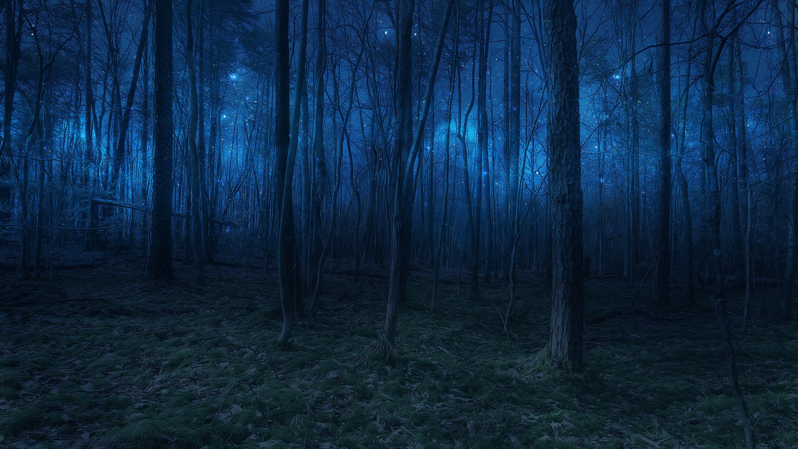 Первое что нужно знать летом об отдыхе